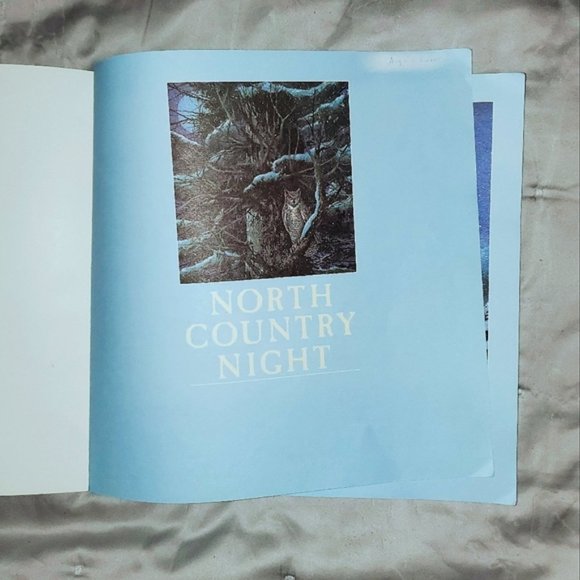 "North Country Night" Children's Soft Cover Book - Picture 3 of 6